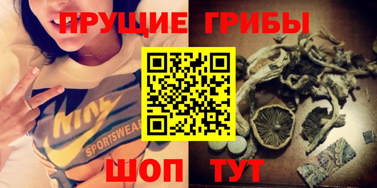 Псилоцибиновые грибы Psilocybine cubensis  Вход с VPN  Лесосибирск 